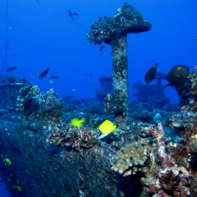 Mahi Shipwreck Hawaii Dive Center